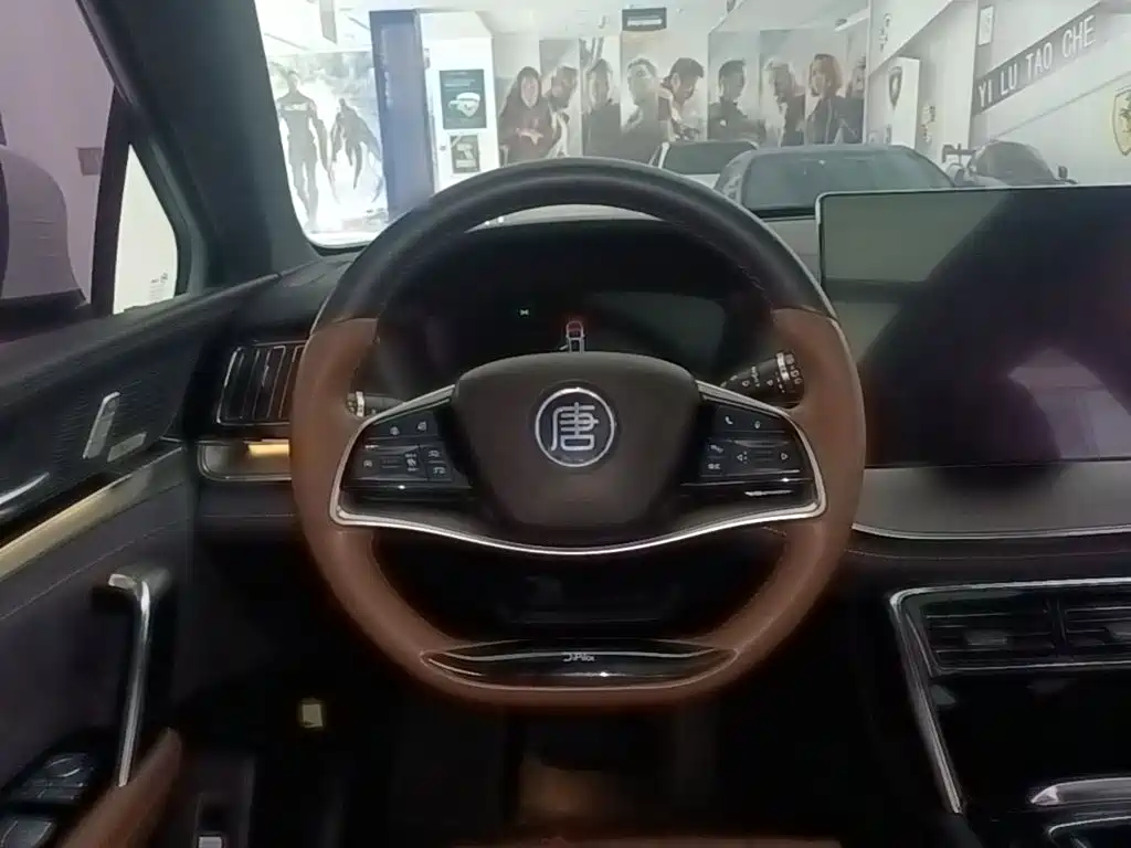 BYD Tang New Energy — миниатюра 11