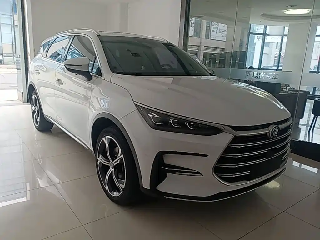 BYD Tang New Energy — миниатюра 4