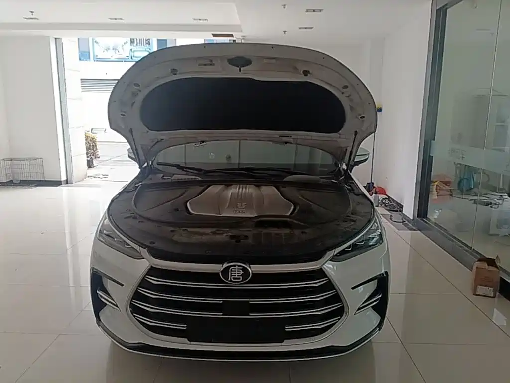 BYD Tang New Energy — миниатюра 20
