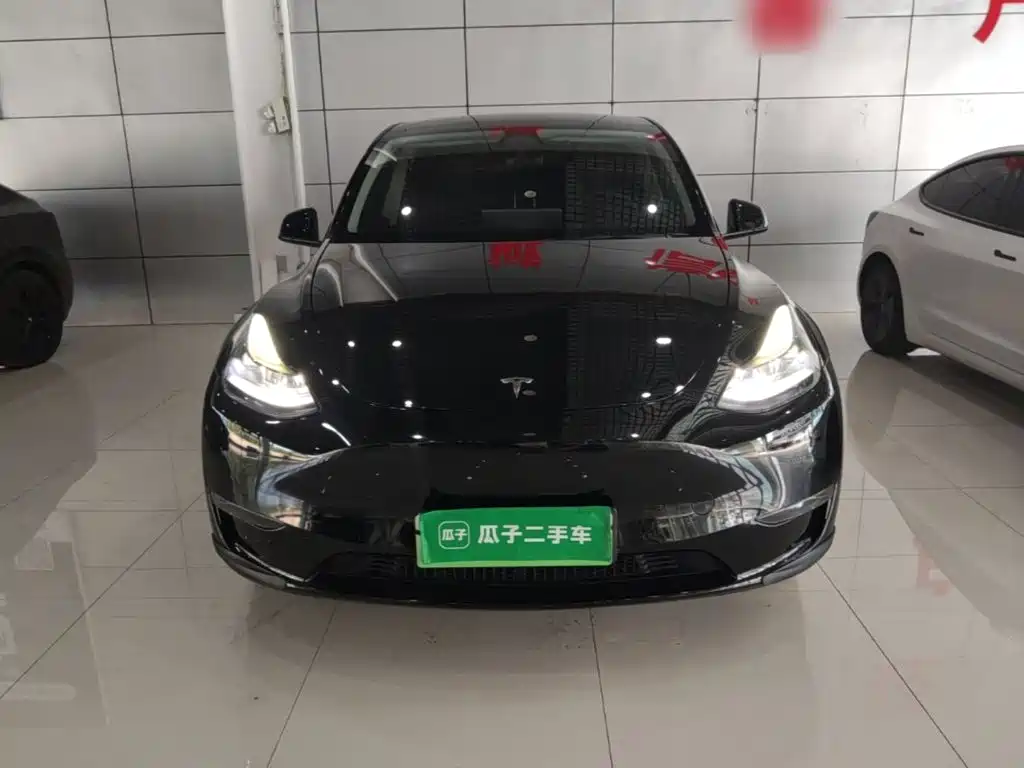 Tesla Model Y — миниатюра 3