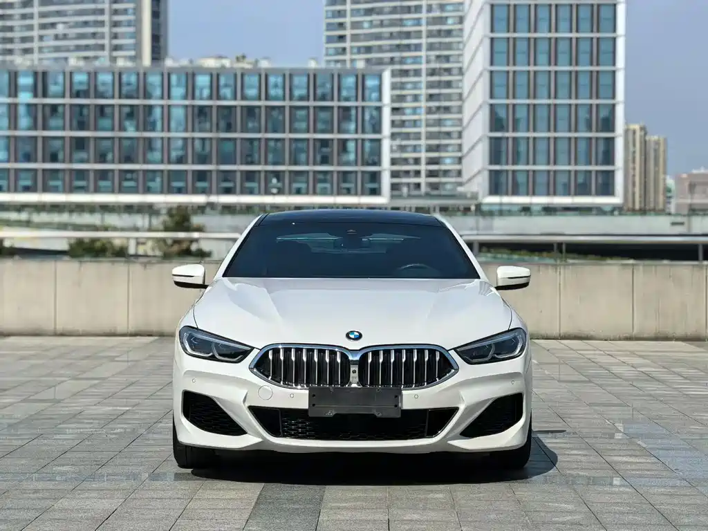 BMW 8 Series — миниатюра 2