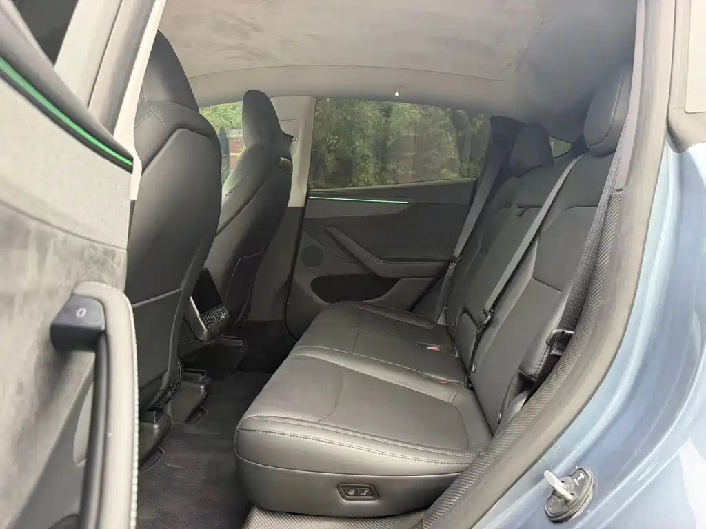 Tesla Model Y — миниатюра 6