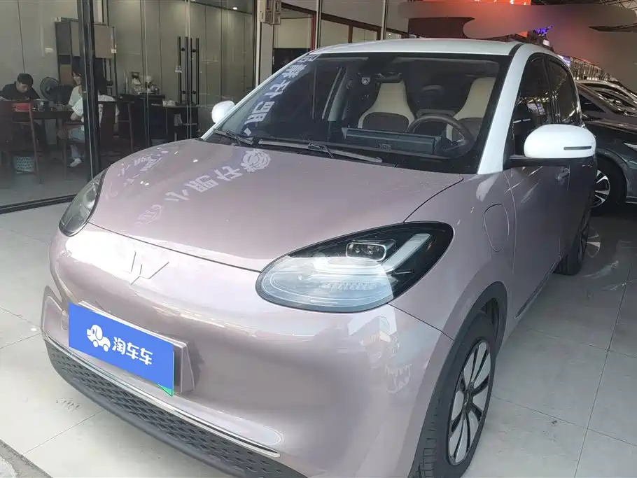 Wuling Binguo 2023 333km Delight