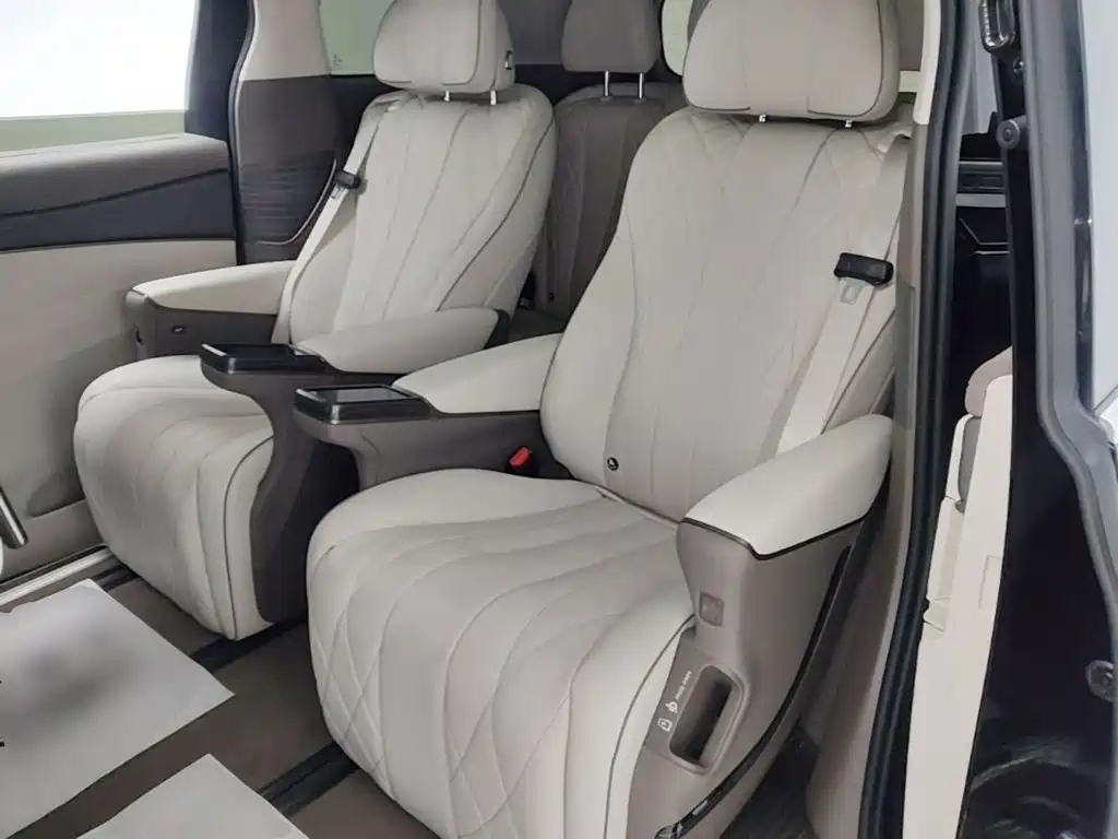 Denza Denza D9 — миниатюра 17
