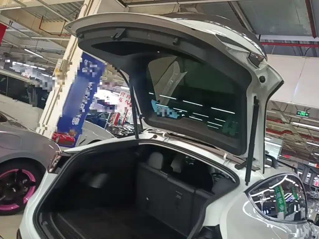 Tesla Model Y — миниатюра 19