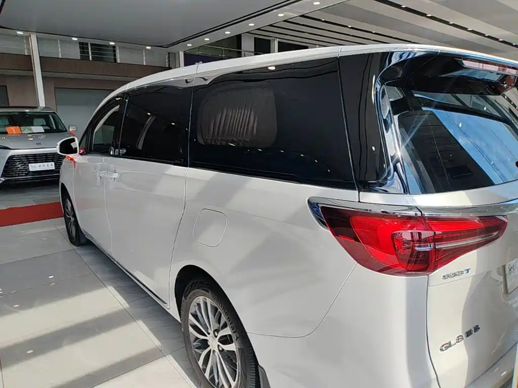 Buick GL8 — миниатюра 5