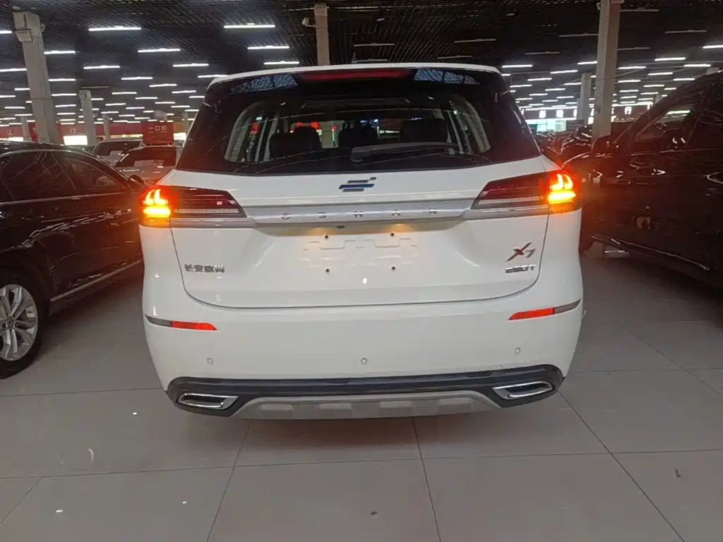 Oshan Oushang X7 — миниатюра 6
