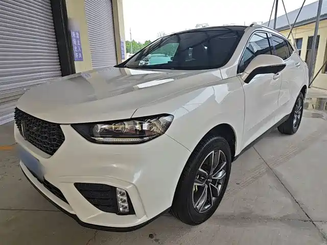 2020 Wey VV5
