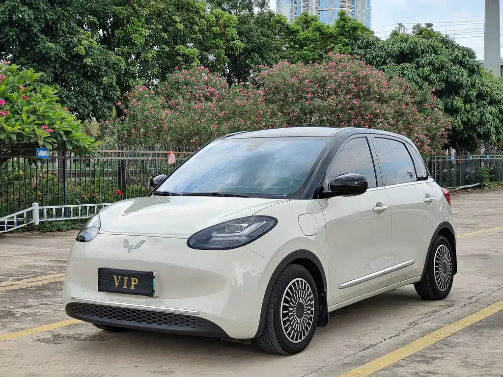 Wuling Binguo 2023 333km Spirit Sharp Connected +