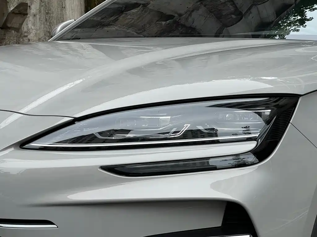 BYD PLUS New Energy - фото 9