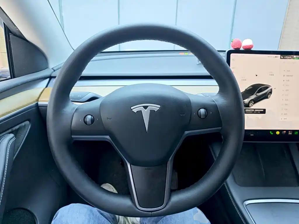 Tesla Model Y — миниатюра 11