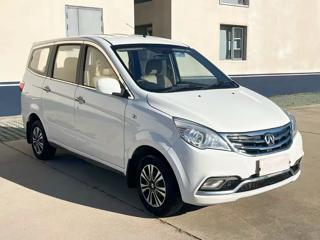BAW Weiwang M20 — миниатюра 3