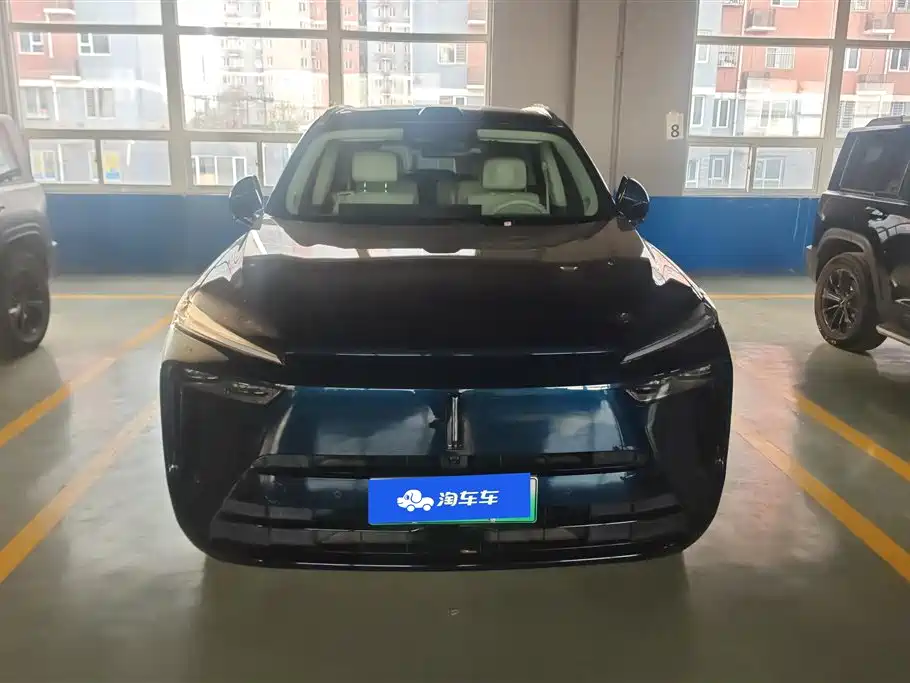 WEI PAI WEI BRAND BLUE MOUNTAIN