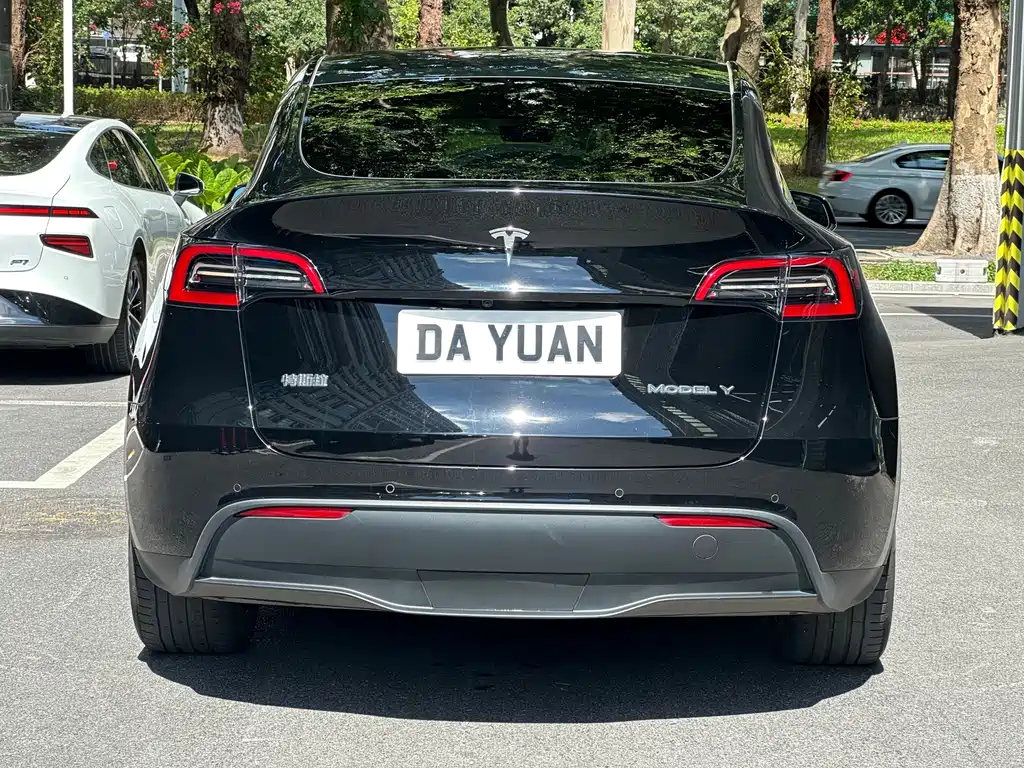 Tesla Model Y — миниатюра 14
