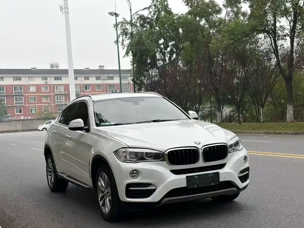 BMW X6 — миниатюра 3