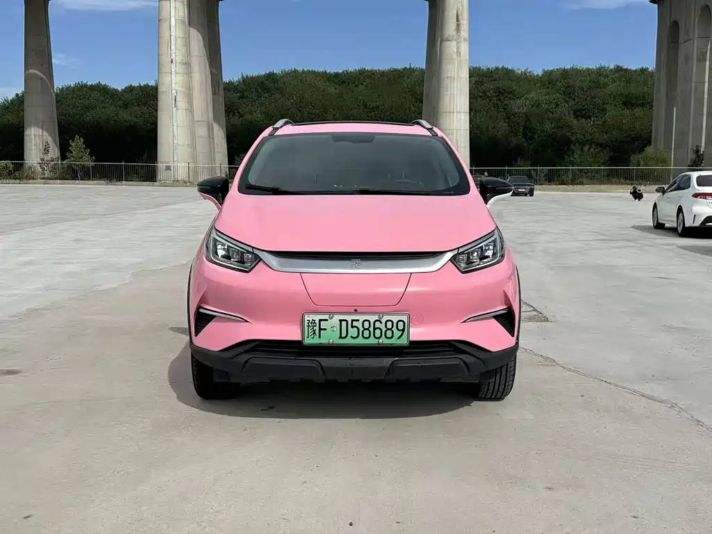 BYD Yuan Pro — миниатюра 2