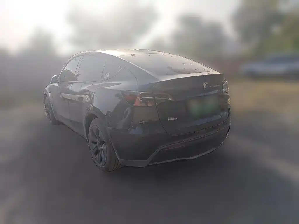 Tesla Model Y — миниатюра 25