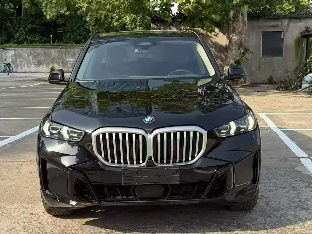 BMW X5 — миниатюра 2