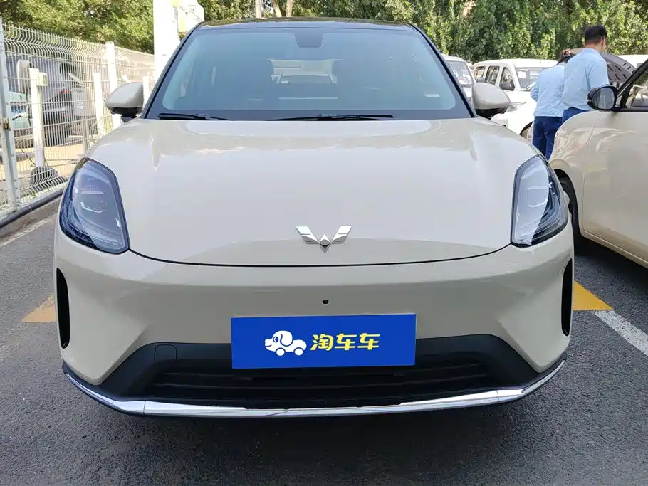 Wuling BinguoS S 2025 430km Flagship