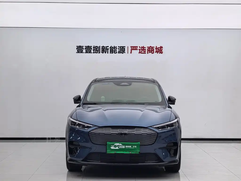 Ford Mustang Mach-E — миниатюра 2