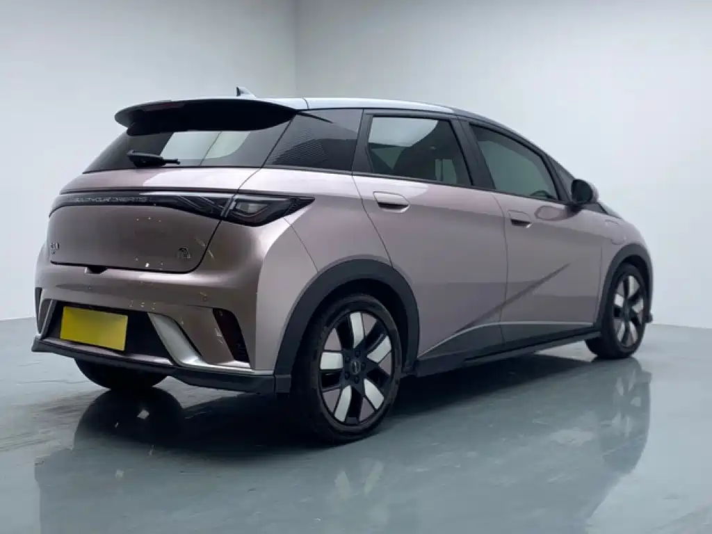 BYD Dolphin — миниатюра 6