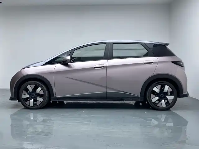 BYD Dolphin — миниатюра 7