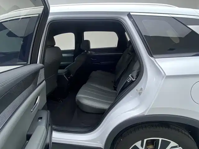 BYD Pro New Energy — миниатюра 14