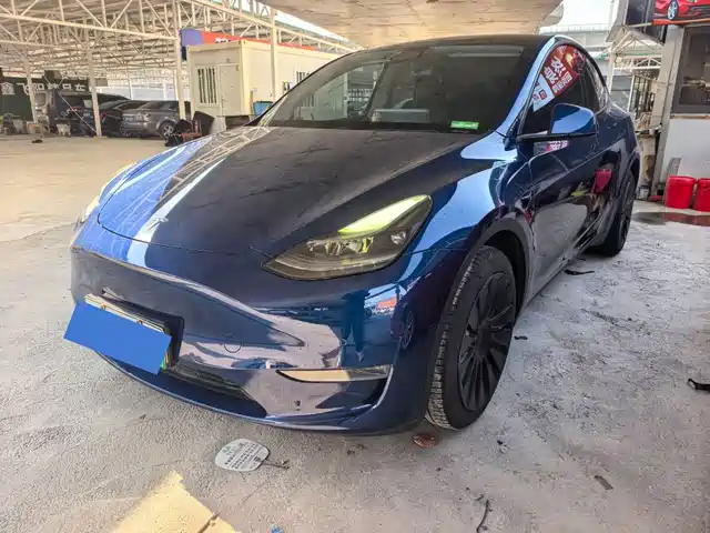 TESLA MODEL Y 2021