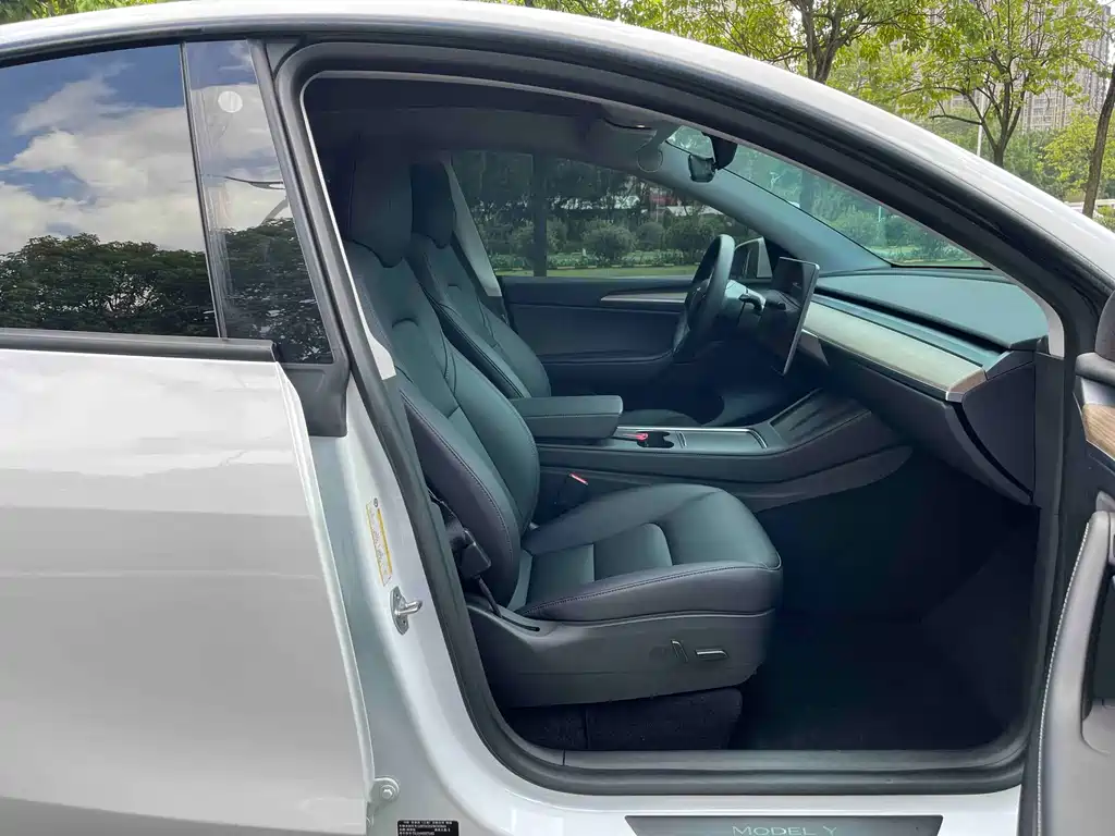 Tesla Model Y — миниатюра 10