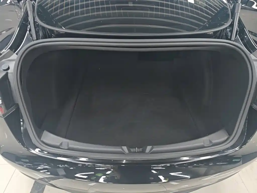 Tesla Model 3 — миниатюра 19
