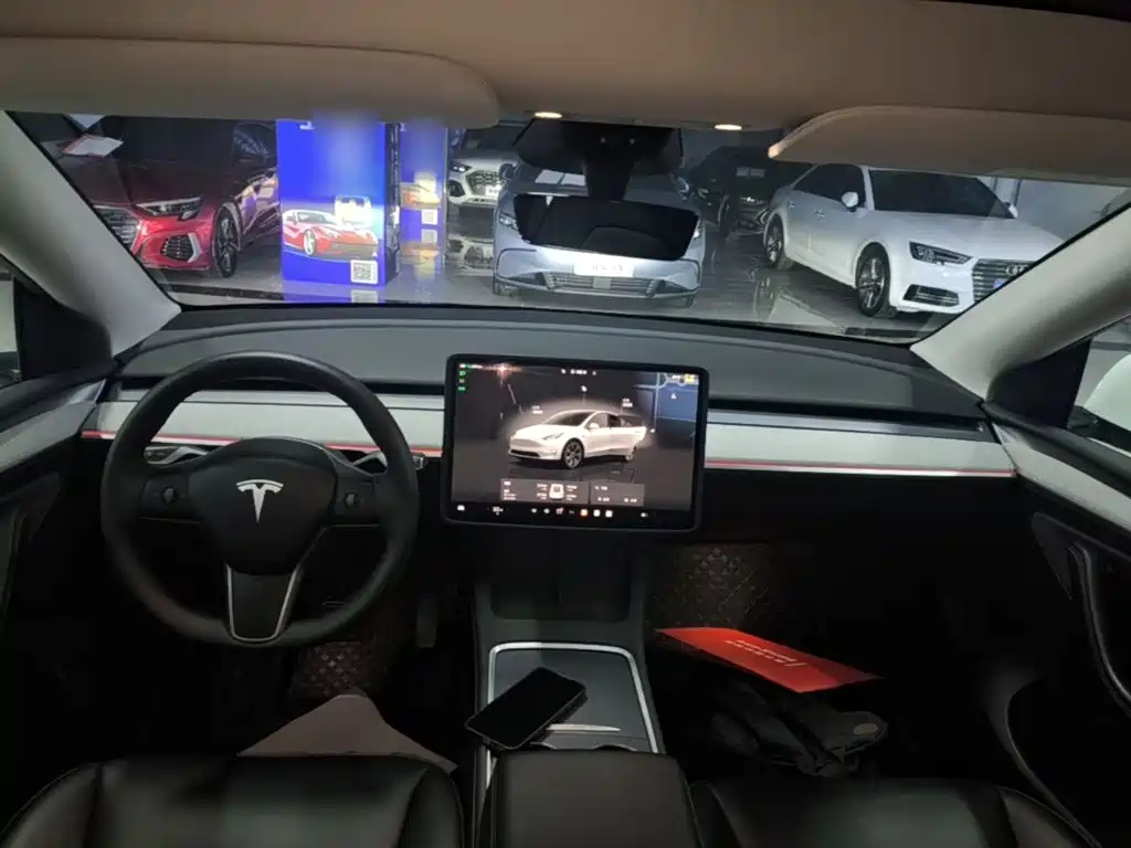 Tesla Model Y — миниатюра 10