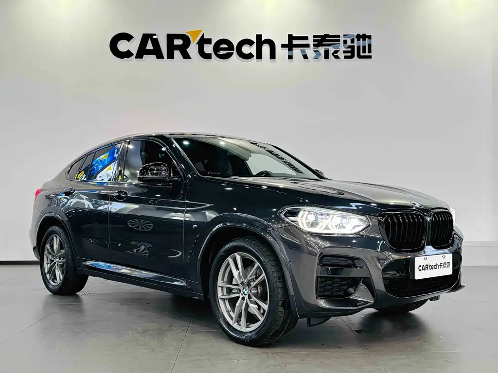 BMW X4 — миниатюра 3