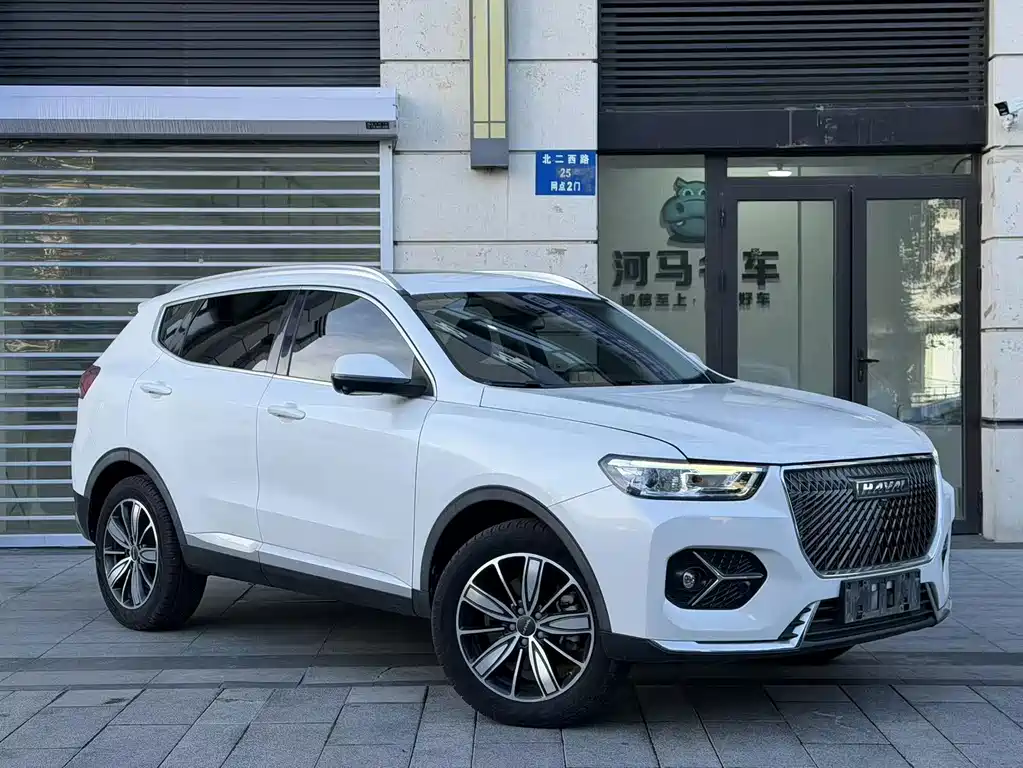 Haval H6 — миниатюра 3