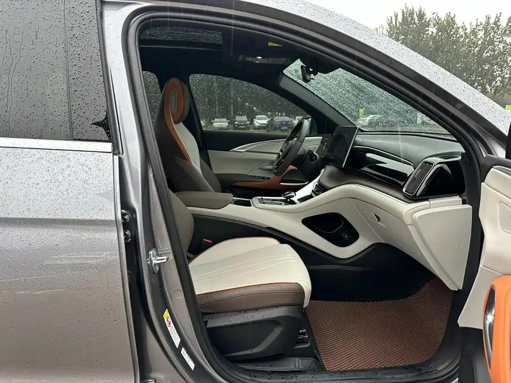 BYD Pro New Energy — миниатюра 12
