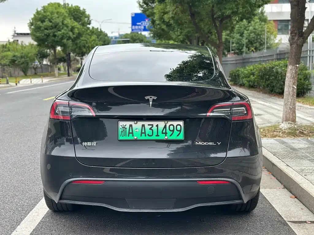 Tesla Model Y — миниатюра 4