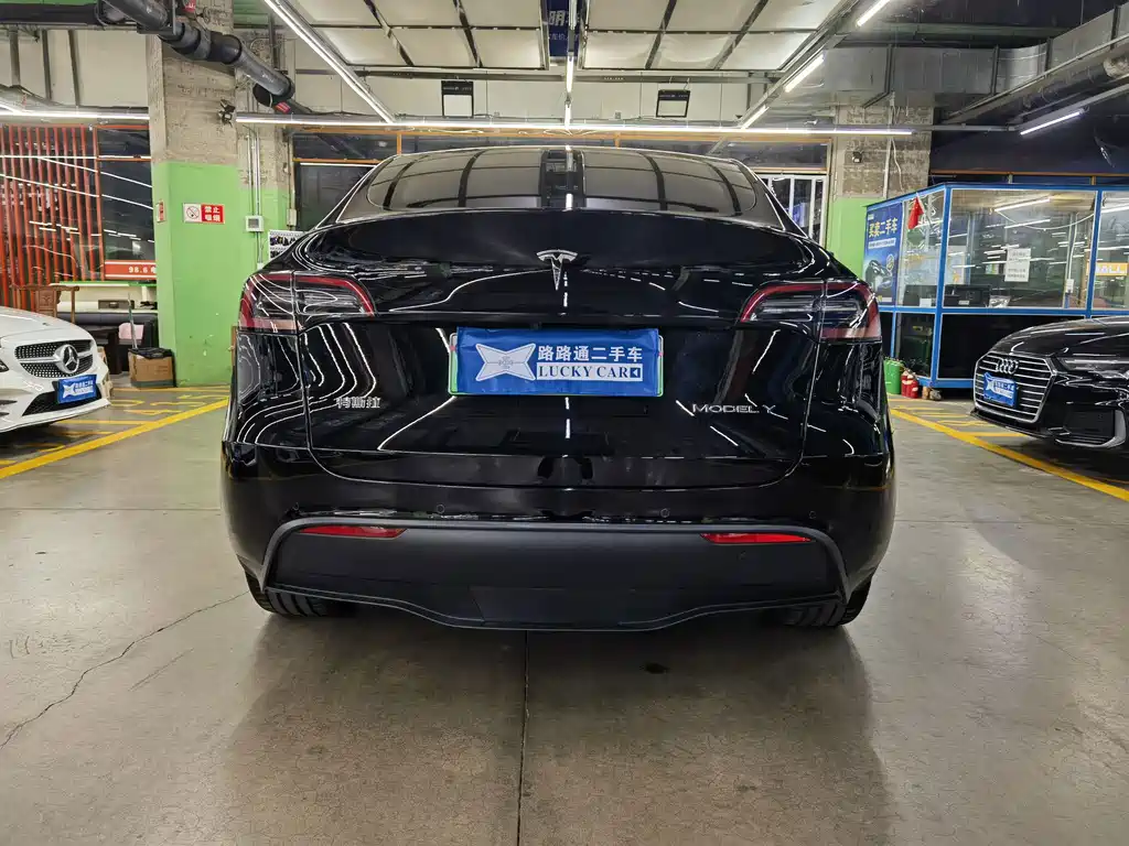 Tesla Model Y — миниатюра 5