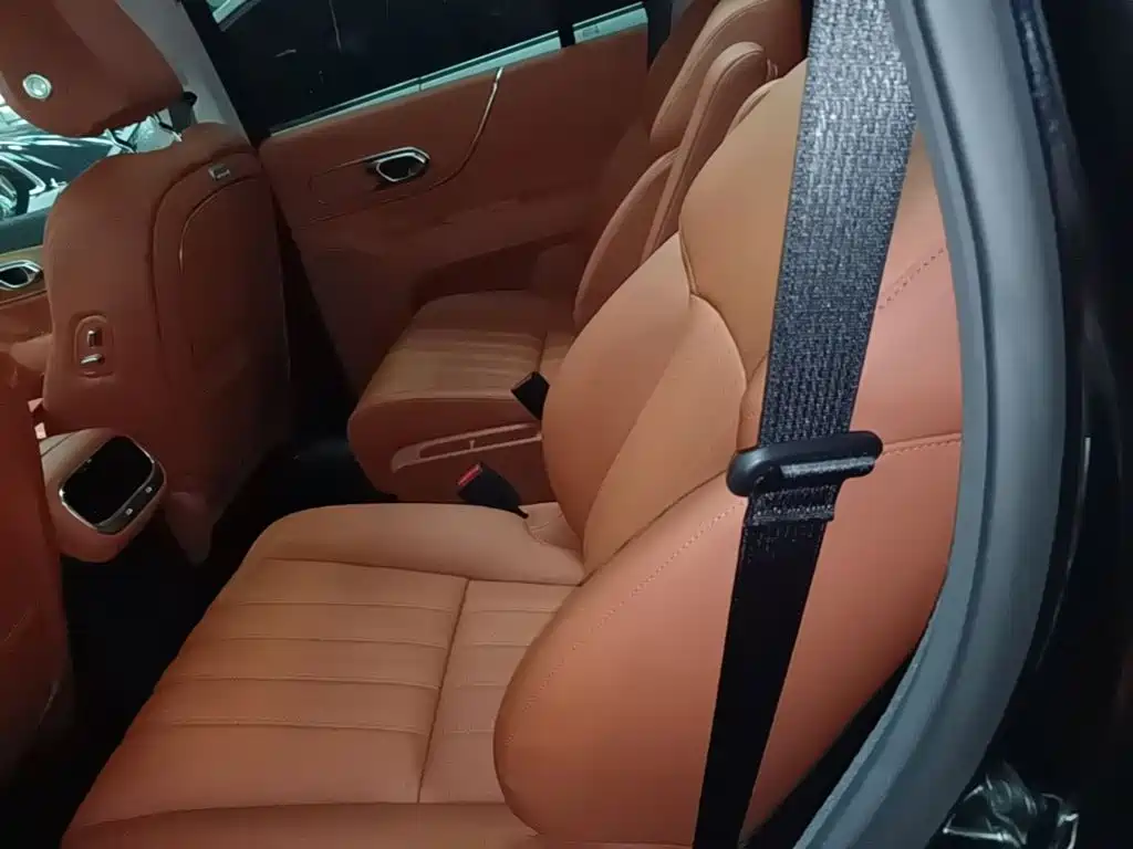GAC Motor Trumpchi Xiangwang S9 — миниатюра 17