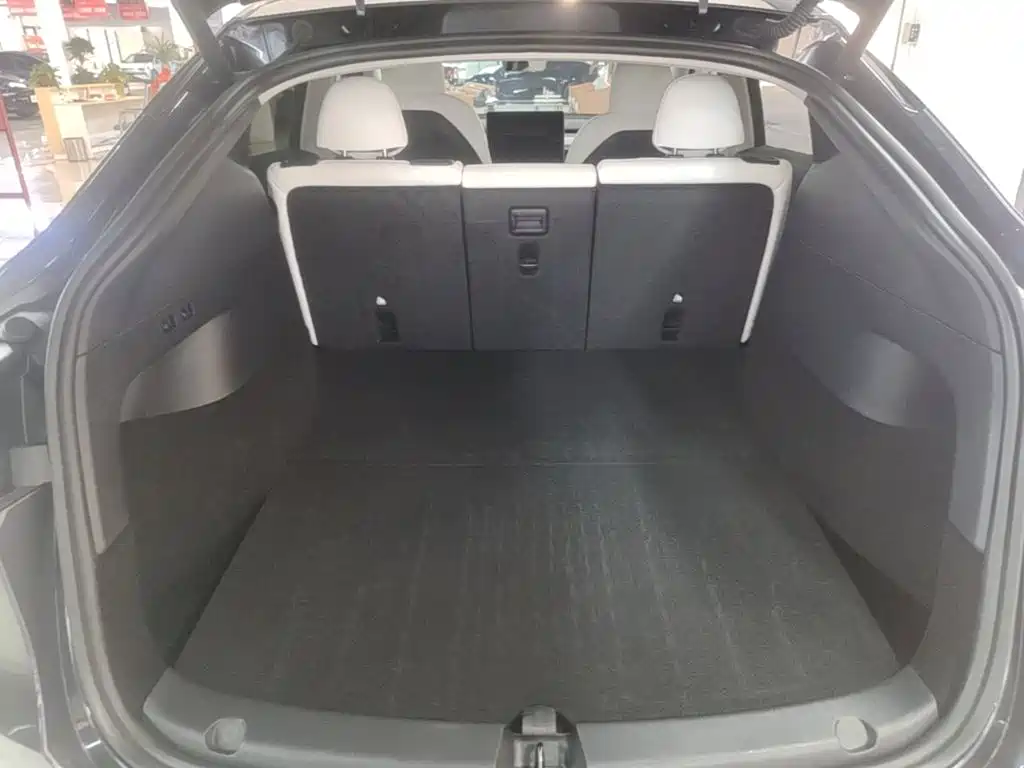 Tesla Model Y — миниатюра 19