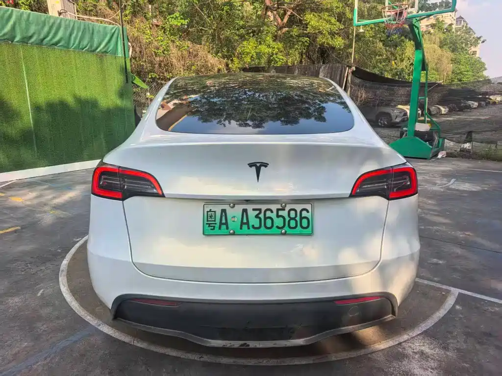 Tesla Model Y — миниатюра 3