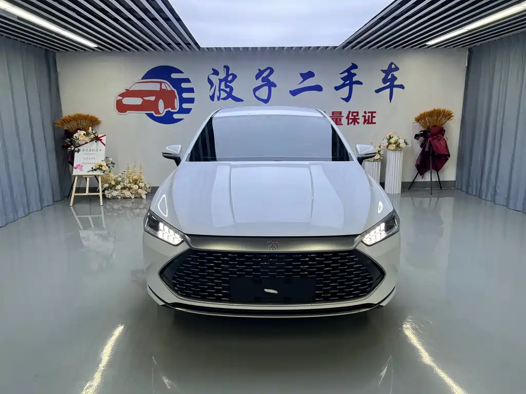 BYD Qin PLUS — миниатюра 2