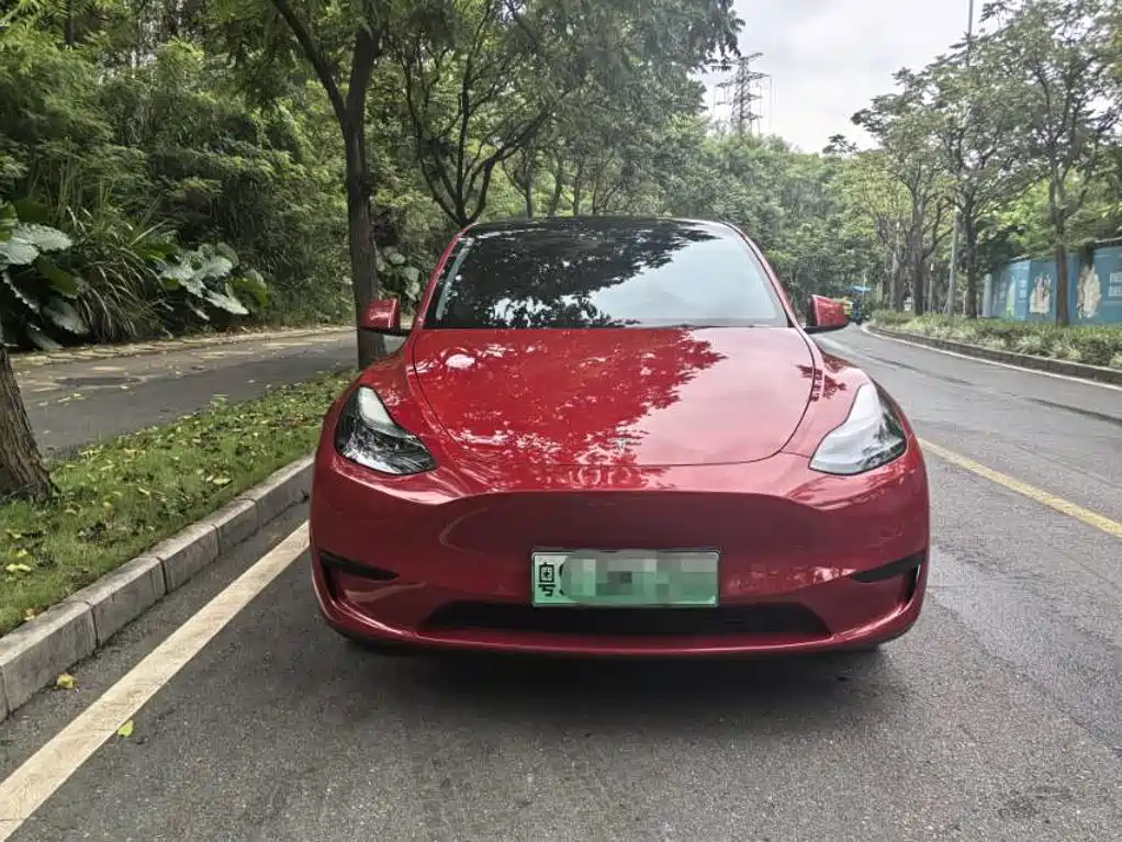 Tesla Model Y — миниатюра 2