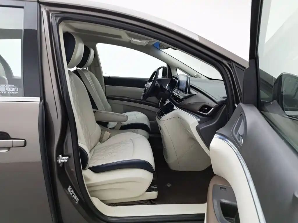 Buick GL8 — миниатюра 23