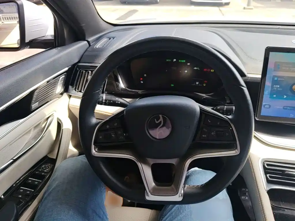 BYD PLUS New Energy — миниатюра 11
