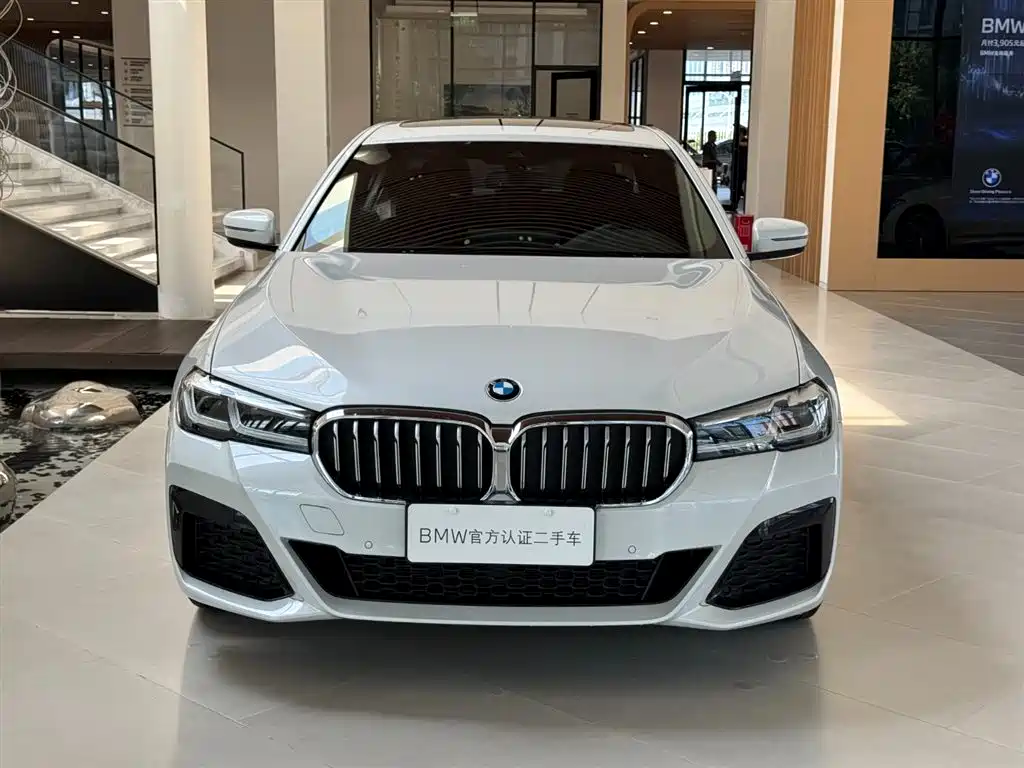 BMW 5 Series — миниатюра 2