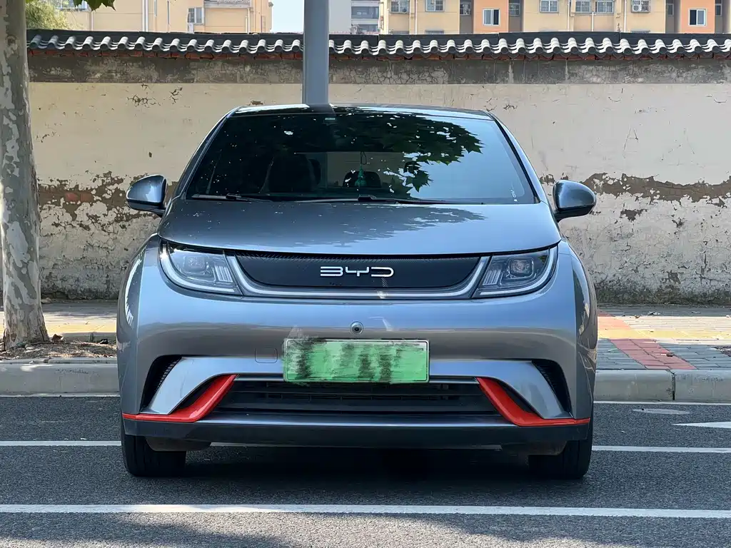 BYD Dolphin — миниатюра 2