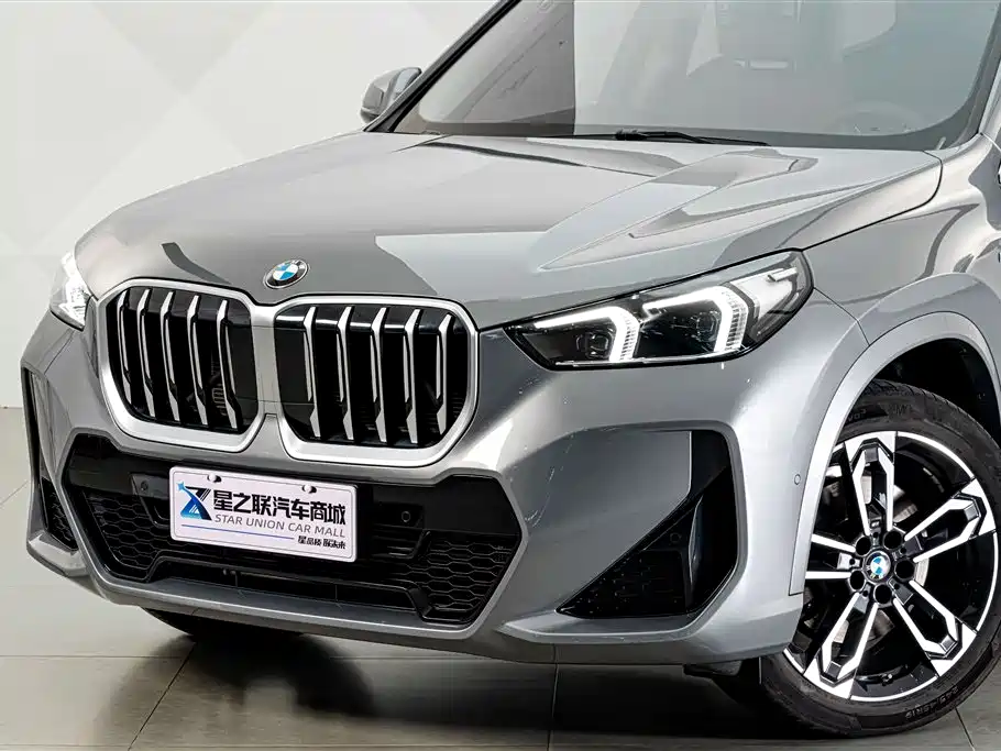 BMW X1 — миниатюра 2