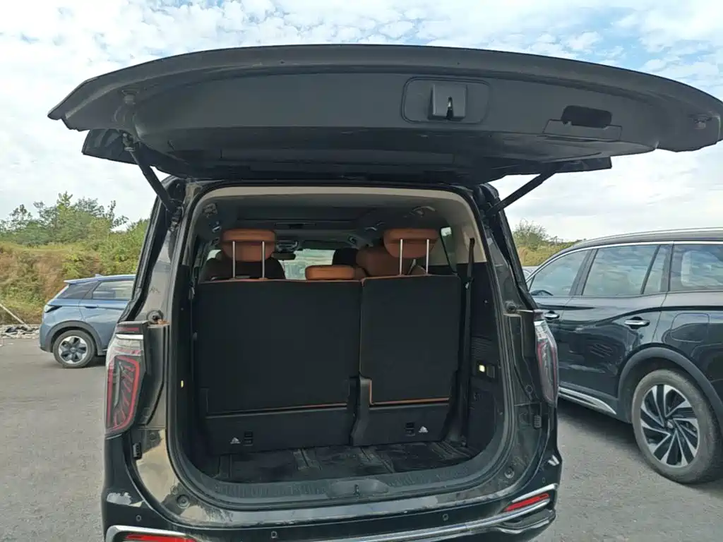 Hongqi Hongqi HQ9 — миниатюра 19