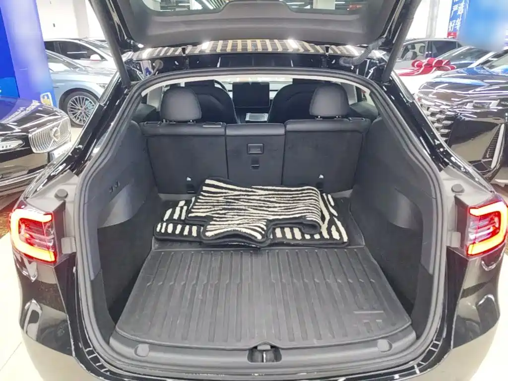 Tesla Model Y — миниатюра 19