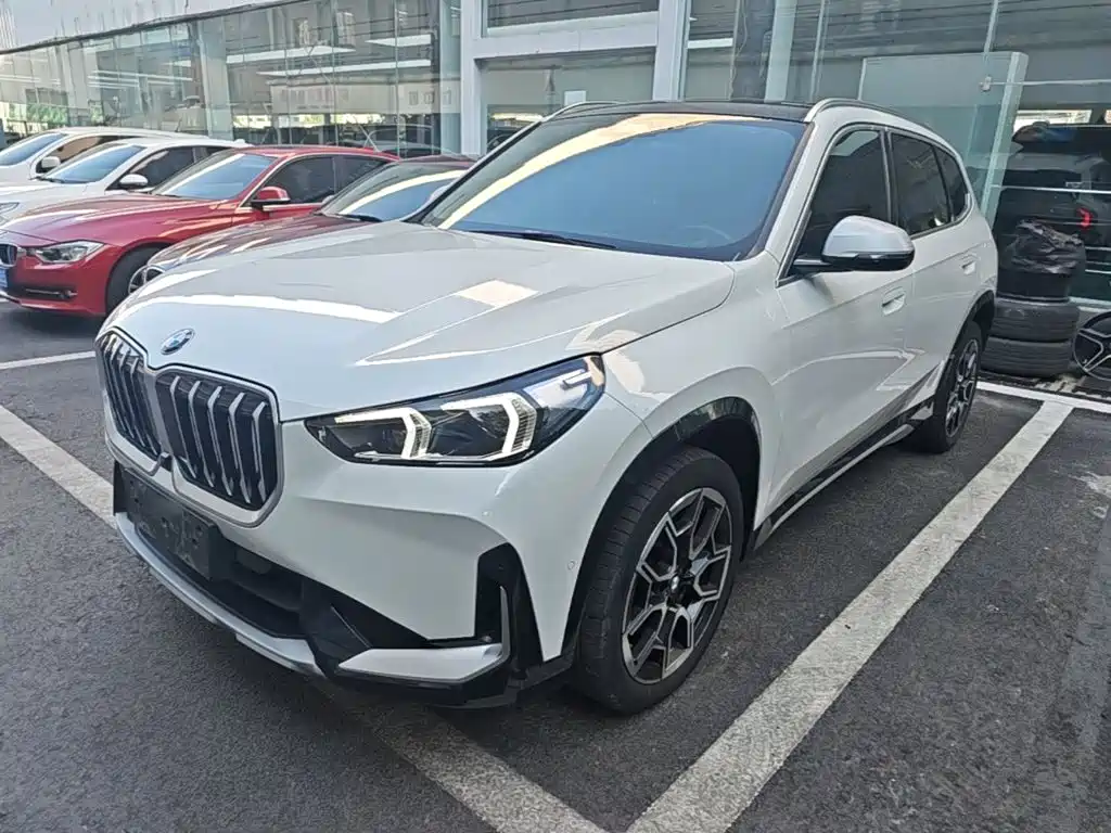 BMW X1 — миниатюра 2