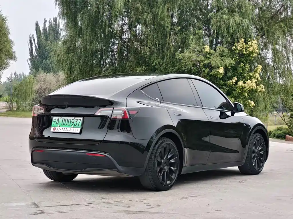 Tesla Model Y — миниатюра 9